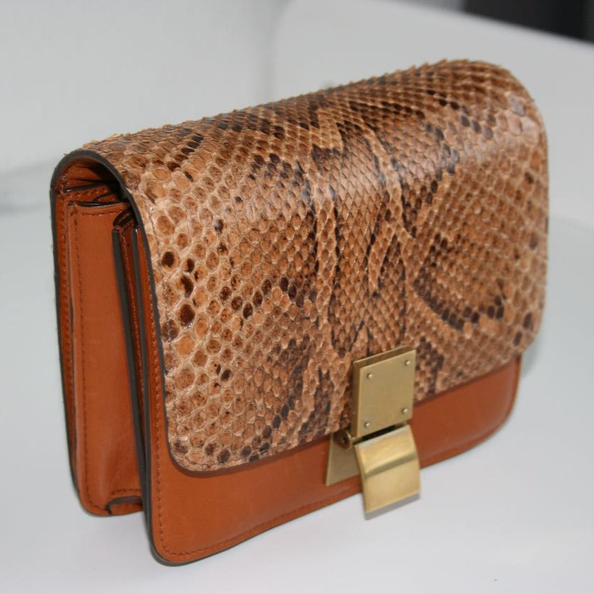 Céline Classic Small Python Bag
